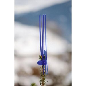 Protection bourgeon Plantagard Cactus PRO bleu (paquet de 100 pièces)