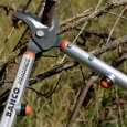 Utilisation de l'ébrancheur léger de 60cm pour professionnel de Bahco