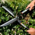 Utilisation de la cisaille à haie en aluminium de 57cm Bahco