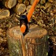Utilisation du merlin à fendre de 3,3 Kg avec manche tri-matière de Bahco