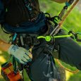 Utilisation du baudrier Catalyst de Notch pour travaux d'élagage