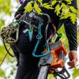 Mise en contexte de la longe porte-tronçonneuse Quick Cinch de 17mm Notch