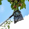 Utilisation du cueilleur de fruits pour perches télescopiques ArboRapid de Berger
