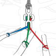 Connecteur de sangles & élingues, Backbone Mini - NOTCH