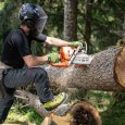 Mise en chaussures anti-coupure Logger Pro GTX RR S3 vertes de Zamberlan