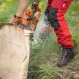 Utilisation des chaussures de protection anti-coupure noires Wald GTX RR de Zamberlan