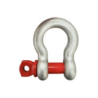 Manille lyre 2 tonnes