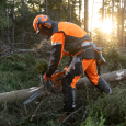 Casque Forestier Technical Mips, orange - HUSQVARNA