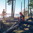 Casque Forestier Technical Mips, orange - HUSQVARNA