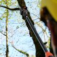 Elagueuse sur perche télescopique avec batteries - BAHCO