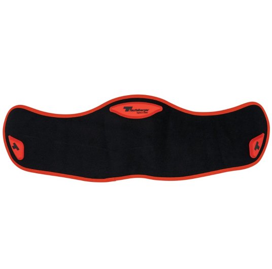 Rembourrage pour le dos du baudrier d'élagage TreeMOTION Pro X de Teufelberger