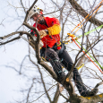 Descendeur Zigzag PETZL
